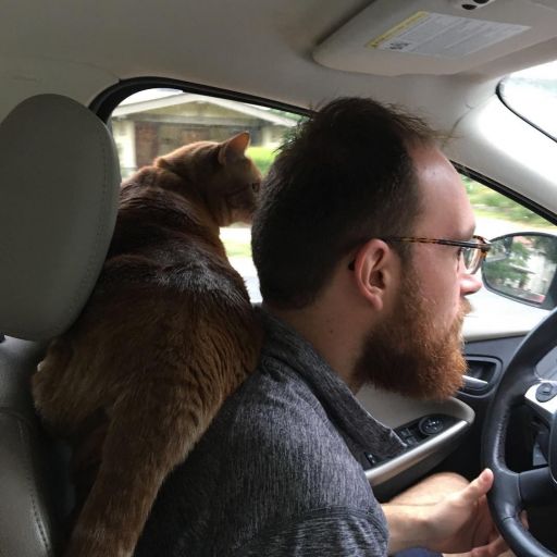 pet