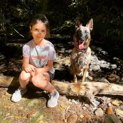 pet