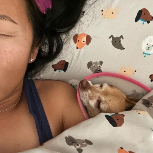 pet