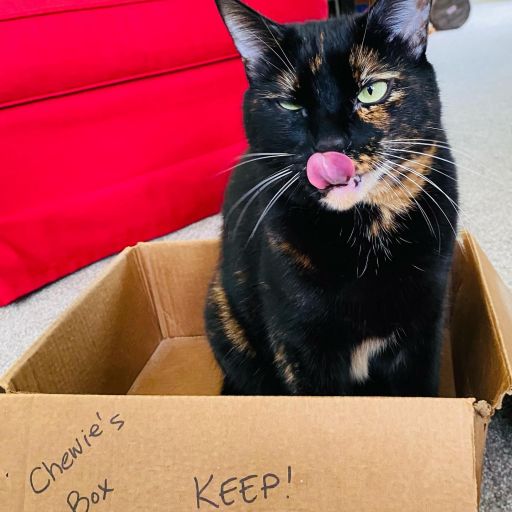 pet